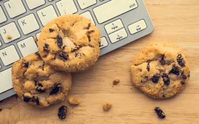 What are Internet Cookies?