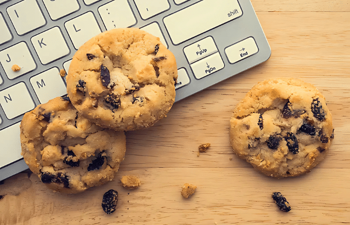 What are Internet Cookies?